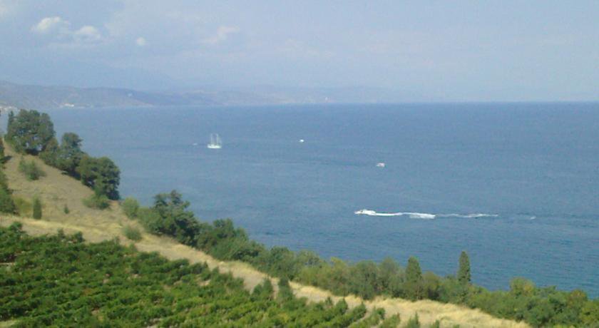 Гостевой дом Вилла Александрия Алушта-39